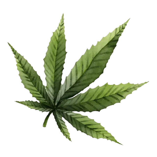 CANNABISAKTIER