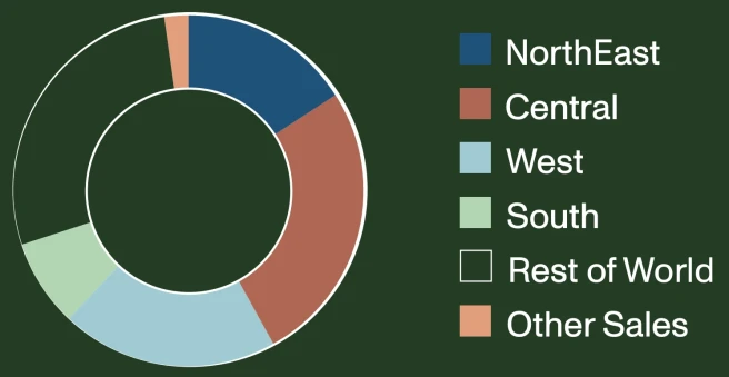 revenue-share-per-region