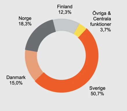 synsam-revenue-share-per-segment
